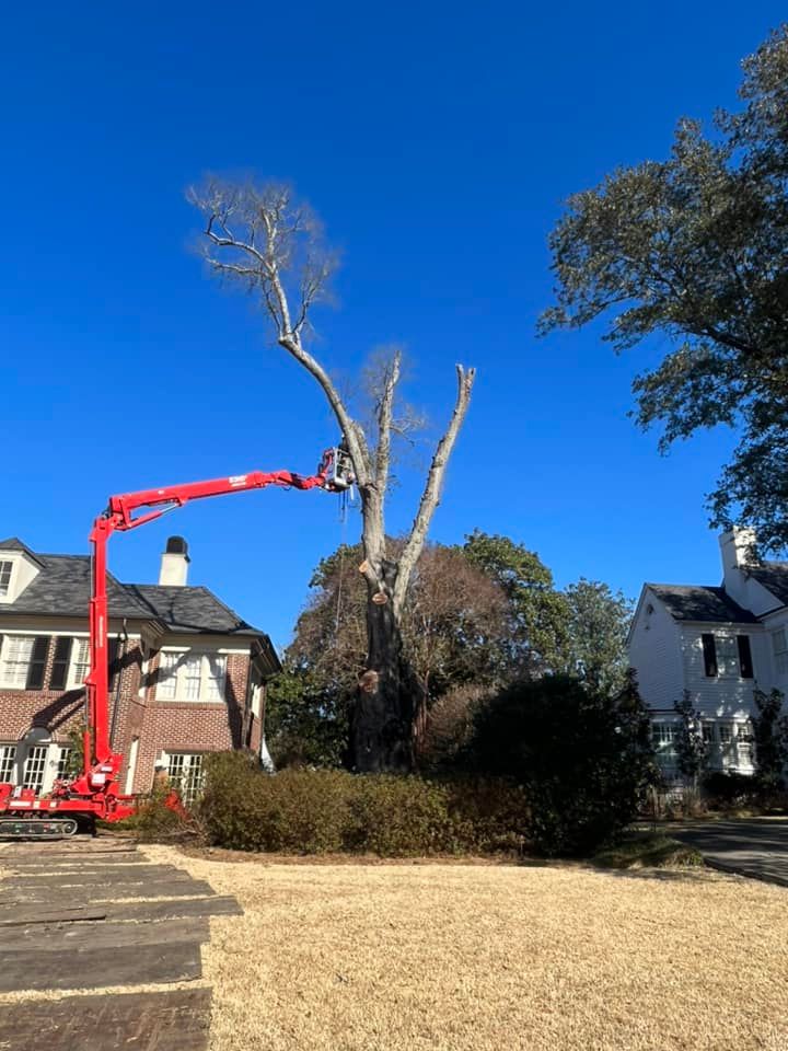 Red crane removing a tall dead tree in a suburban yard beside houses under a clear blue sky