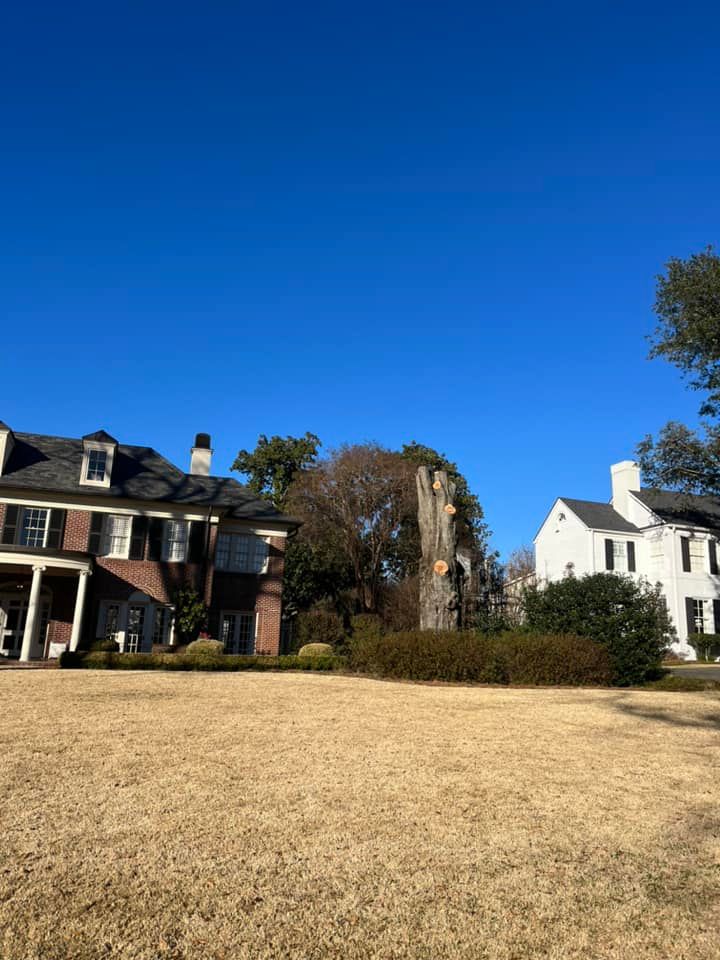 Large grassy lawn with two white houses under a clear blue sky