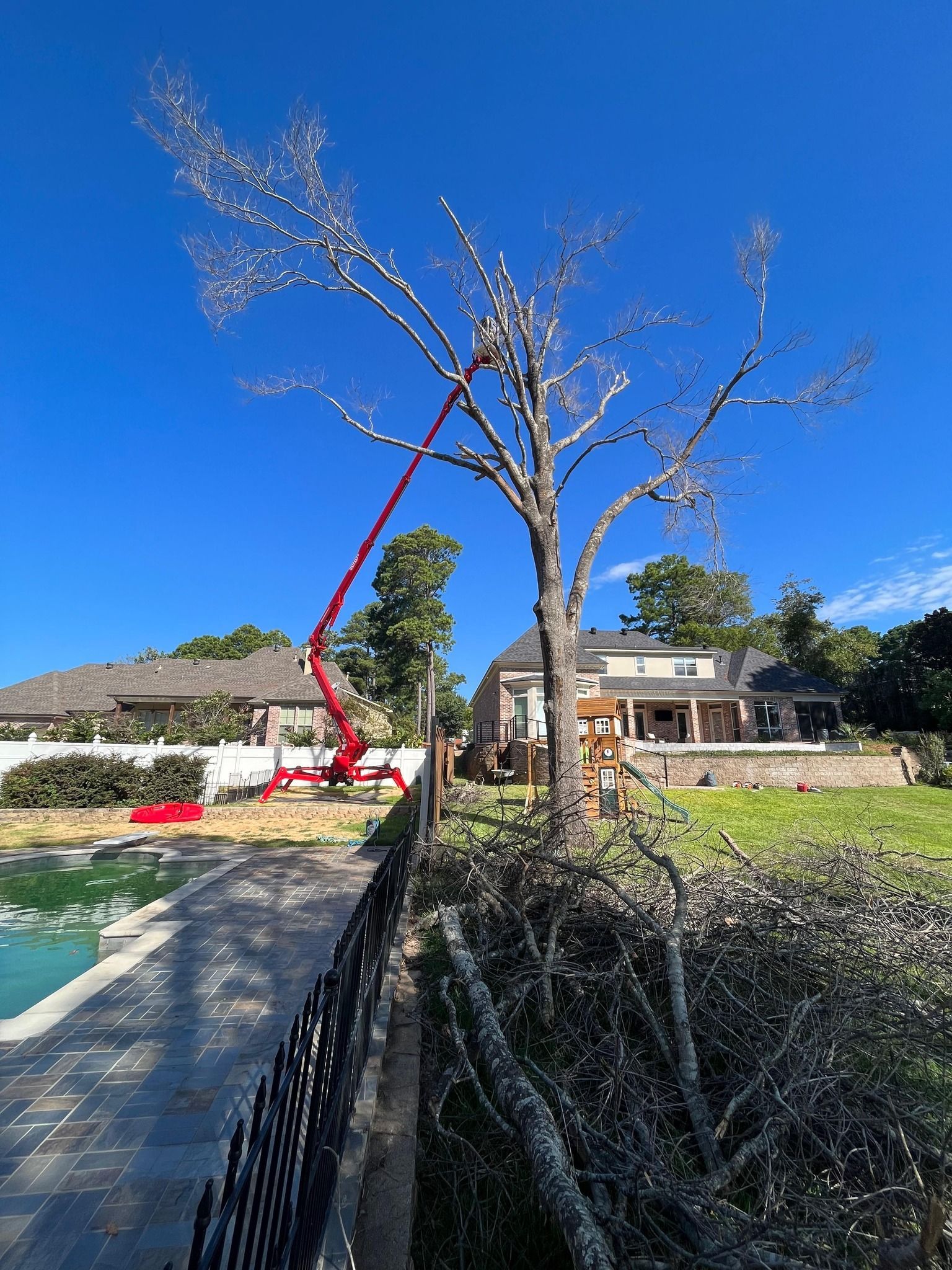 Poolside garden with leafless trees, blue sky, and a house in the background