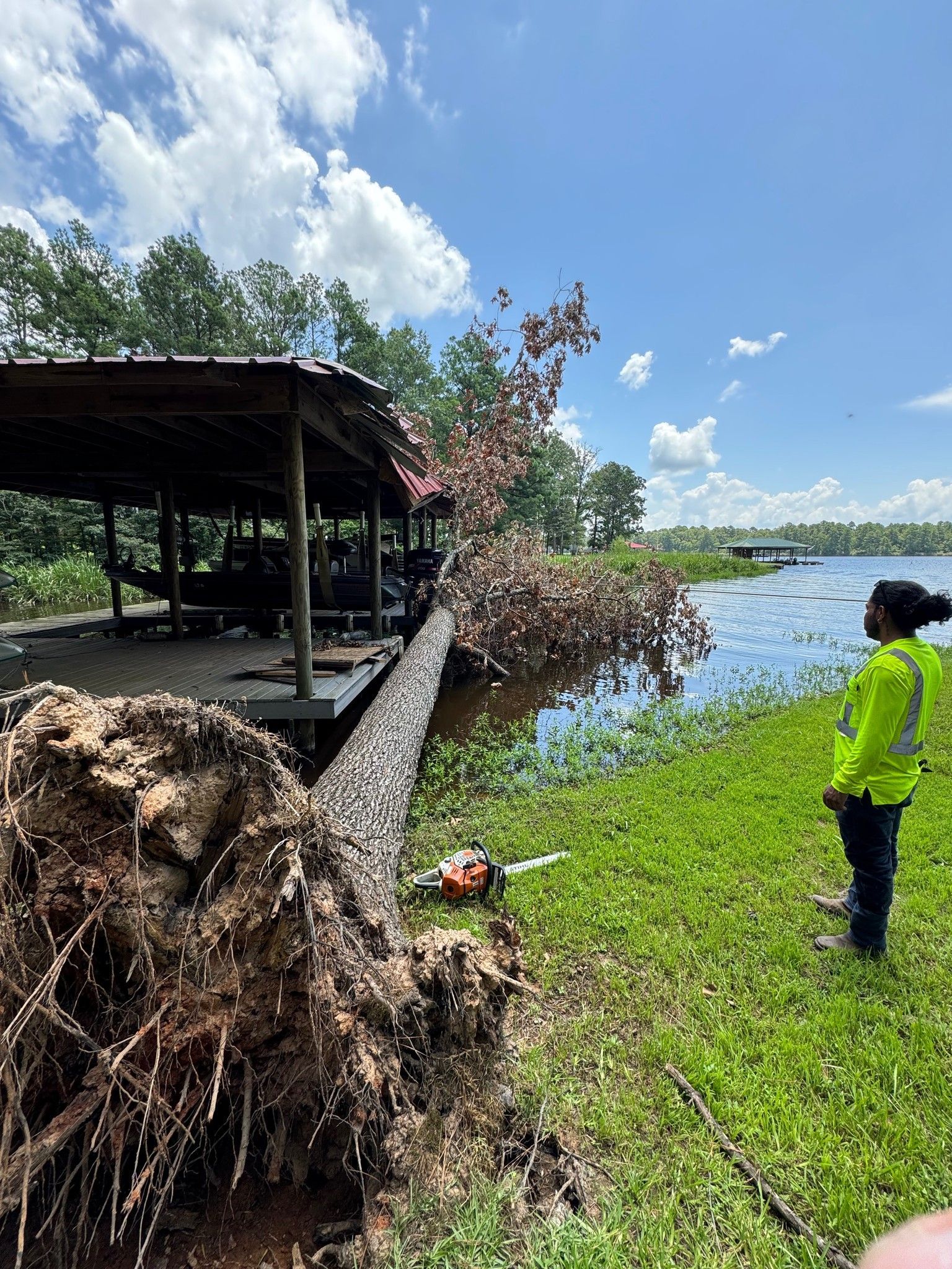 Person in neon jacket stands by a lakeside dock beside a pile of uprooted plants under a cloudy blue sky