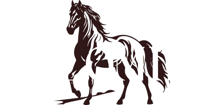 Stylized black horse illustration standing on a white background