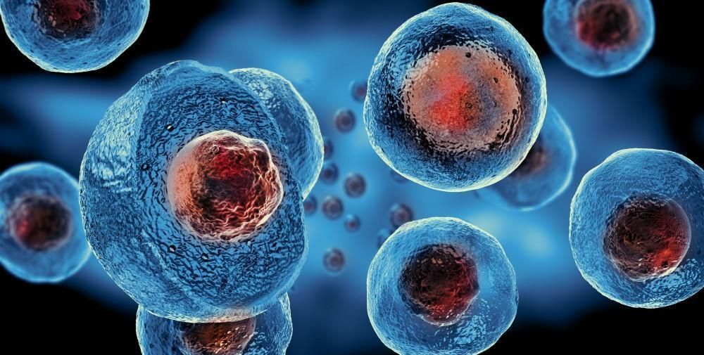 signs of immunodeficiency