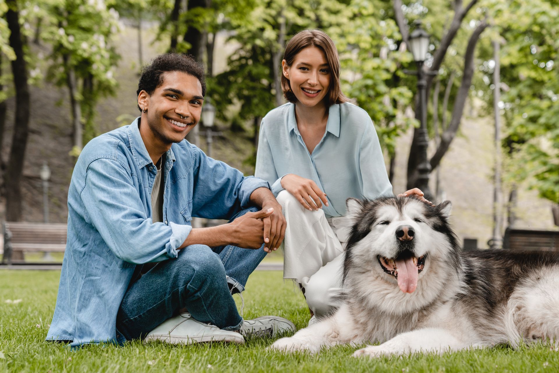 pets and allergies