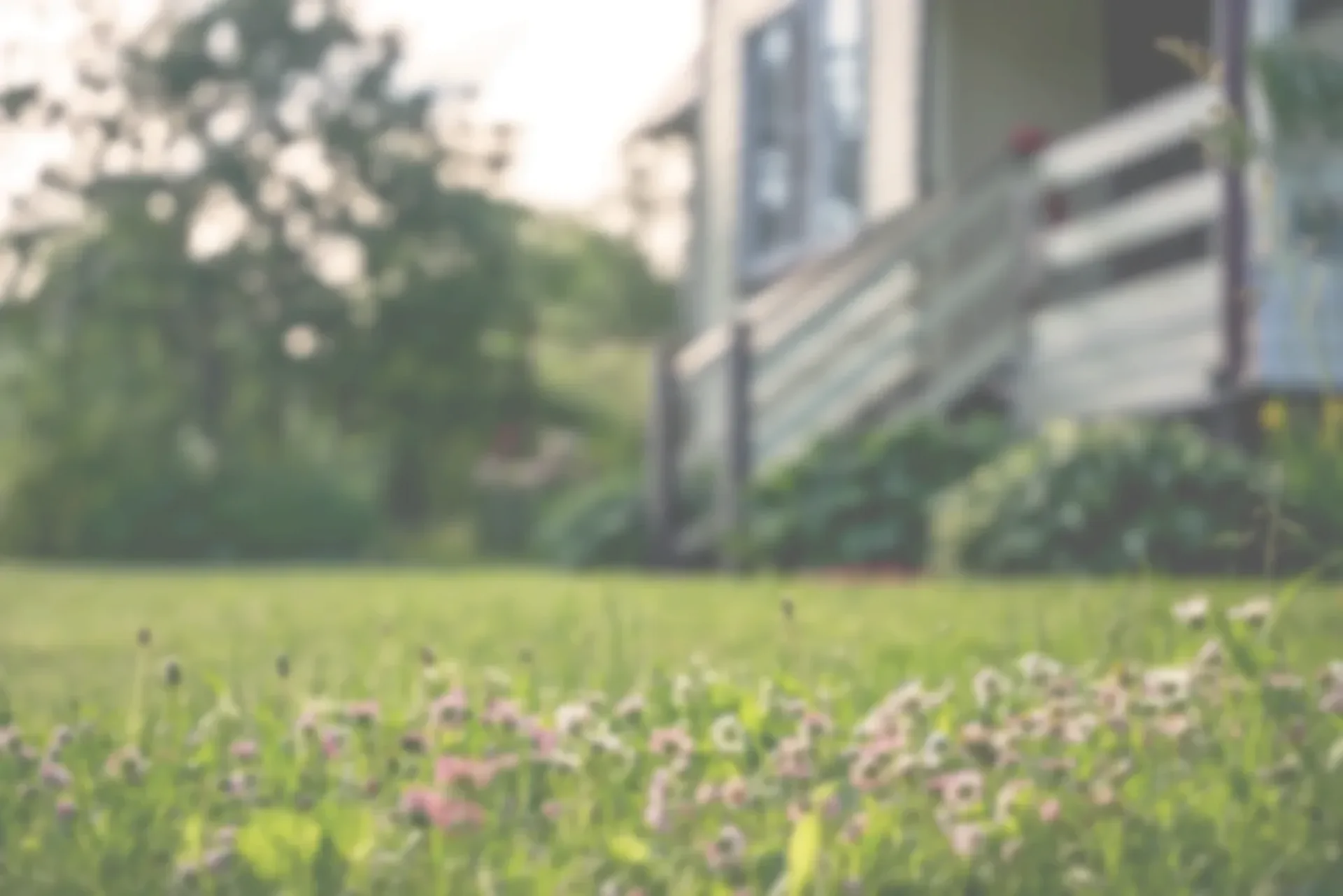 Lawn with low-growing flowers in front of a house with a porch and steps, surrounded by trees. — AT My Place Counselling and Psychotherapy in Neutral Bay, NSW