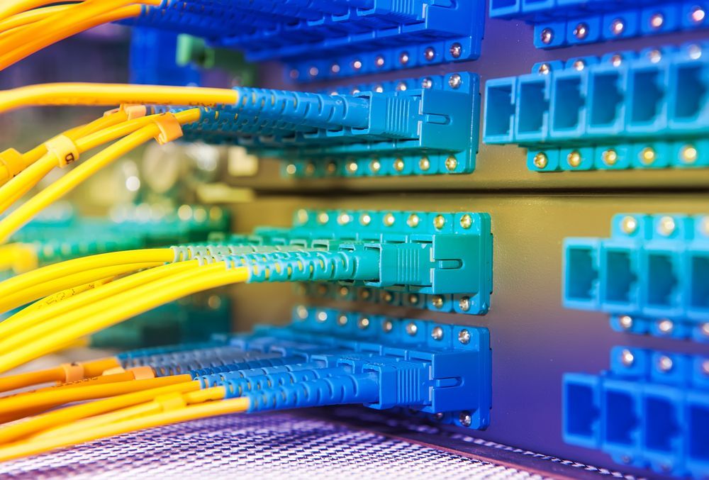 Yellow and Blue Fiber Optic Cables Connected to Network Switches — Shane Kelly Communications in Lennox Head, NSW