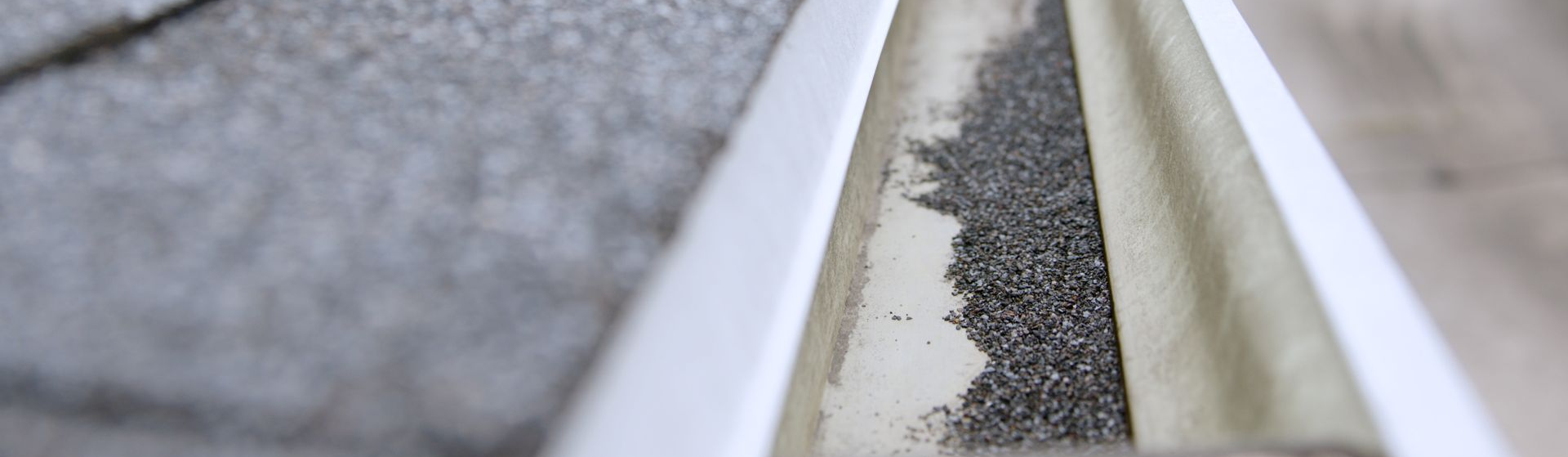 What is in my gutters?