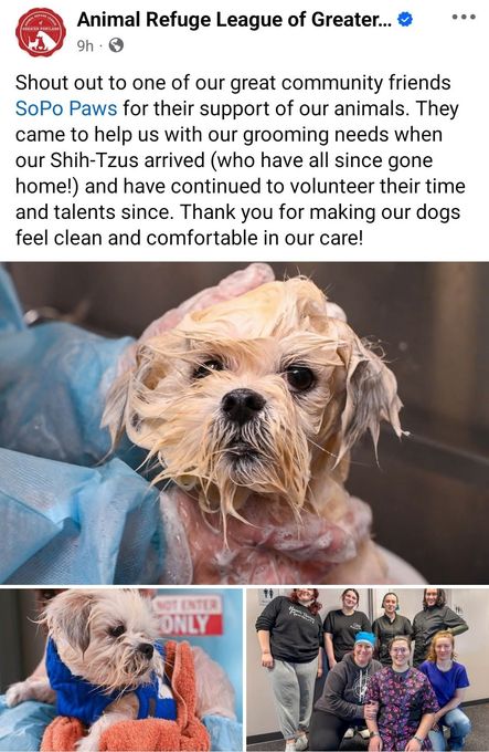 A dog is being groomed by a group of people at an animal refuge league of greater.