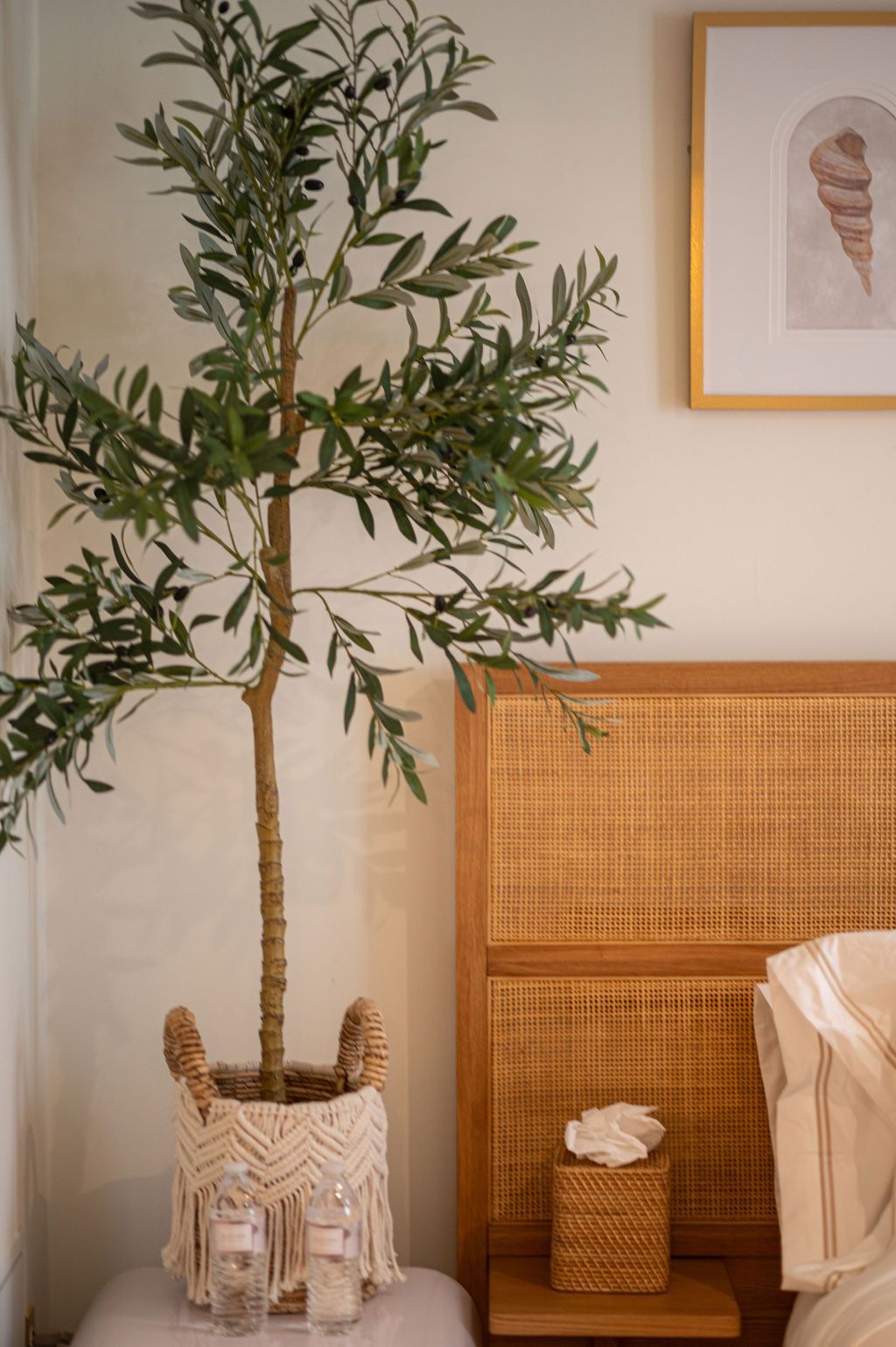 A tall, leafy olive tree in a woven basket next to a rattan headboard and tissue box.