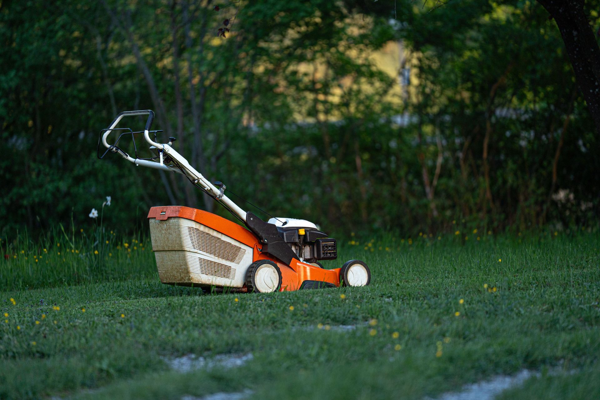 Orange and white lawn mower on grass with the handle raised, in a wooded yard.