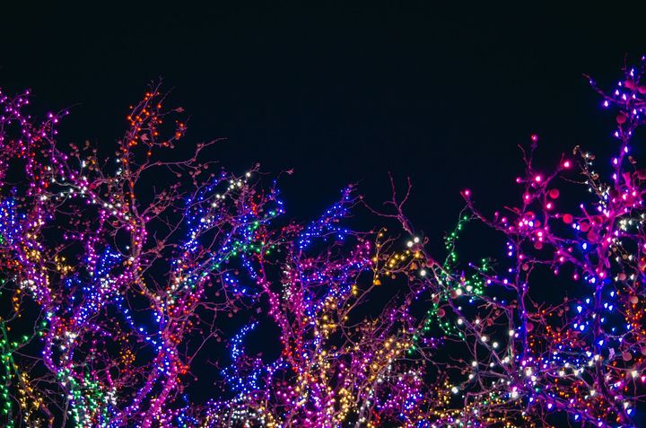 Colorful purple, pink, and blue holiday lights glowing on bare tree branches at night