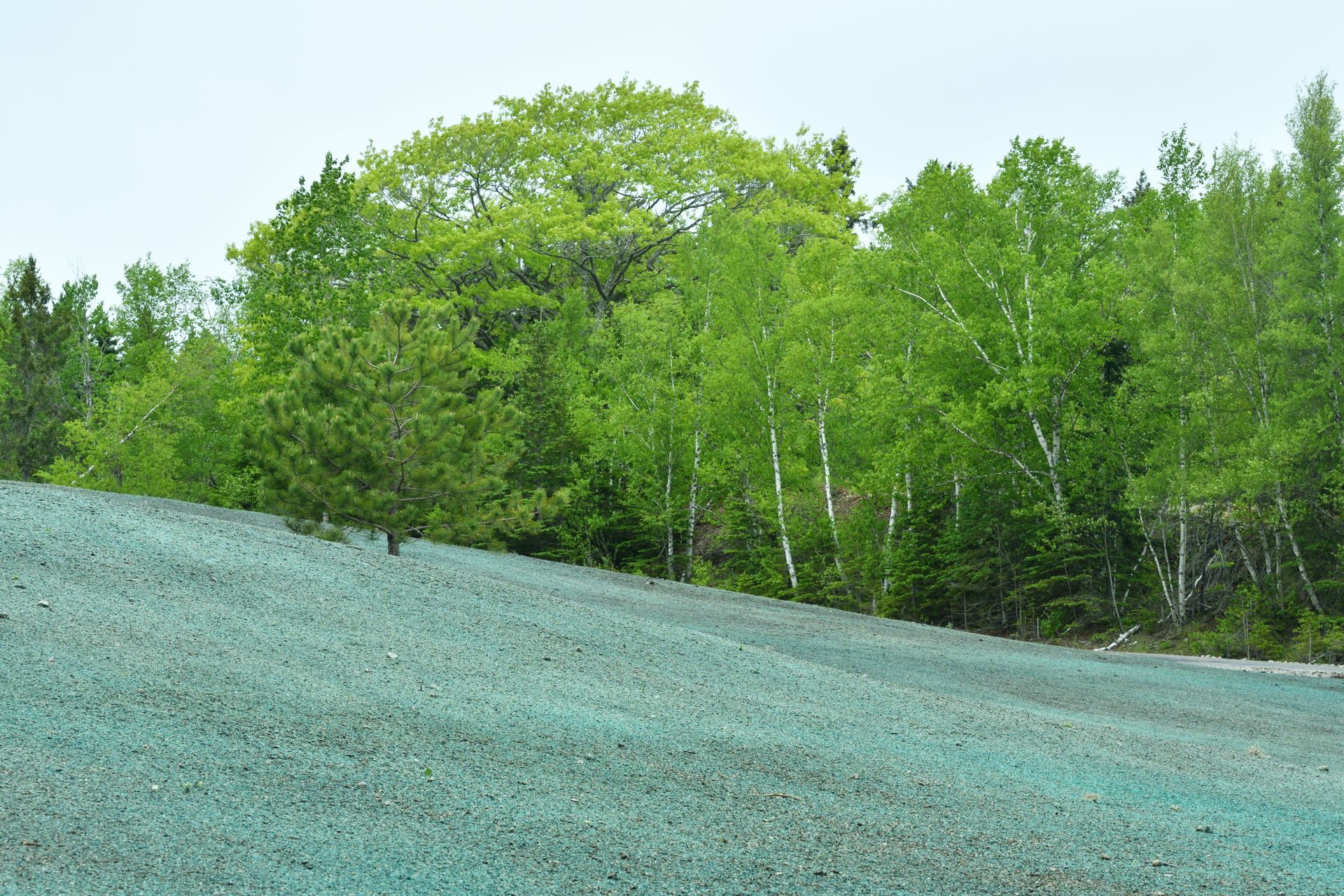Green trees behind a sloping gray gravel mound under a pale sky