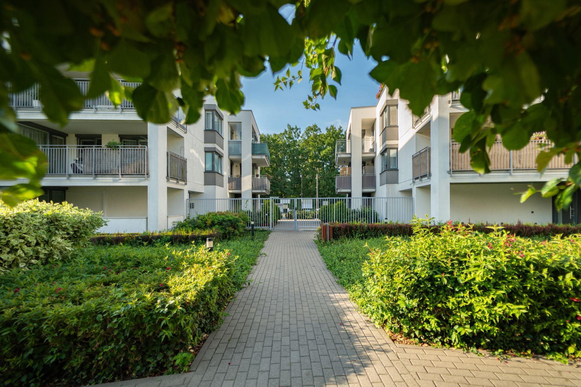 Pathway through green hedges between modern apartment buildings