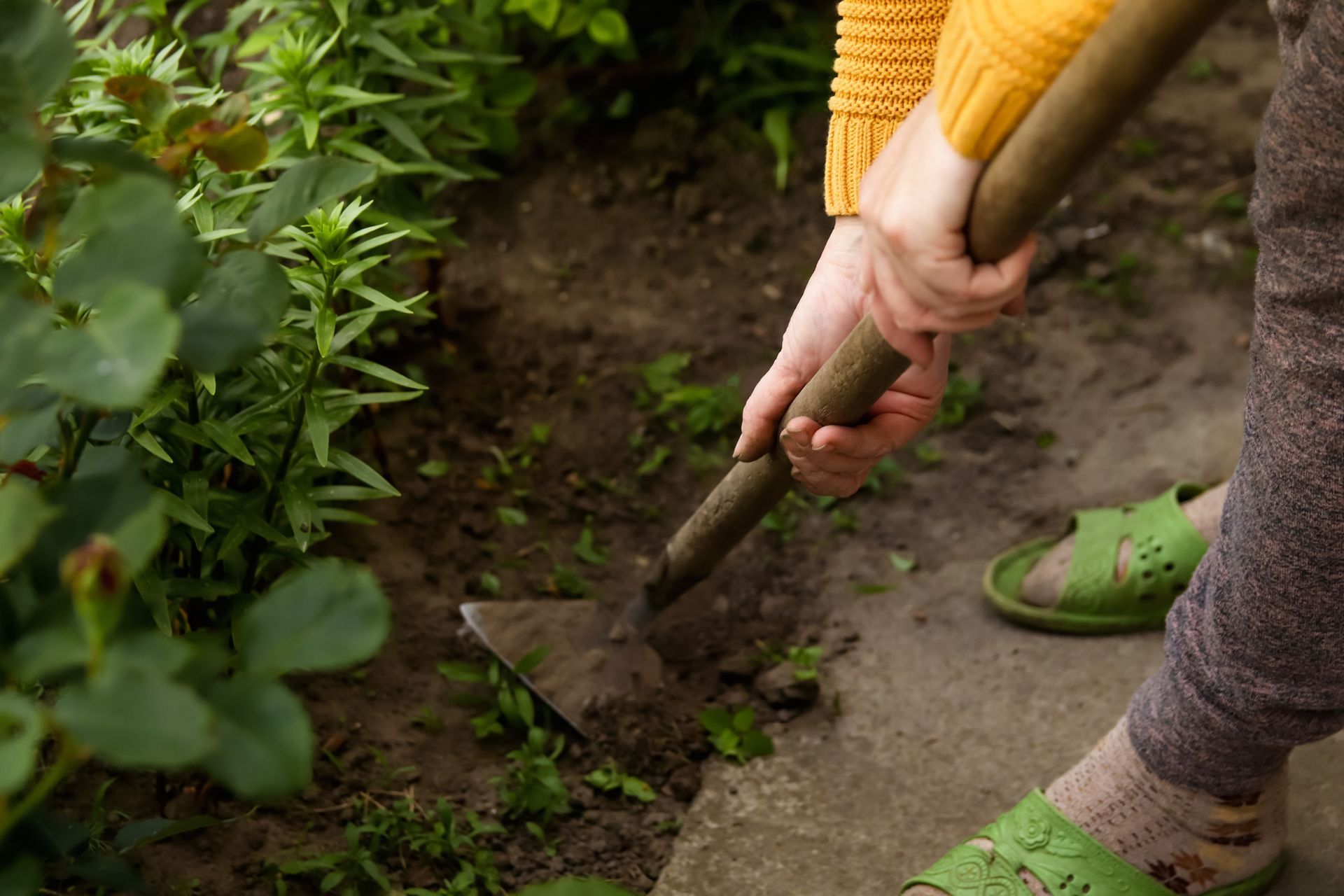 Person in green gloves planting a seedling in garden soil with a trowel