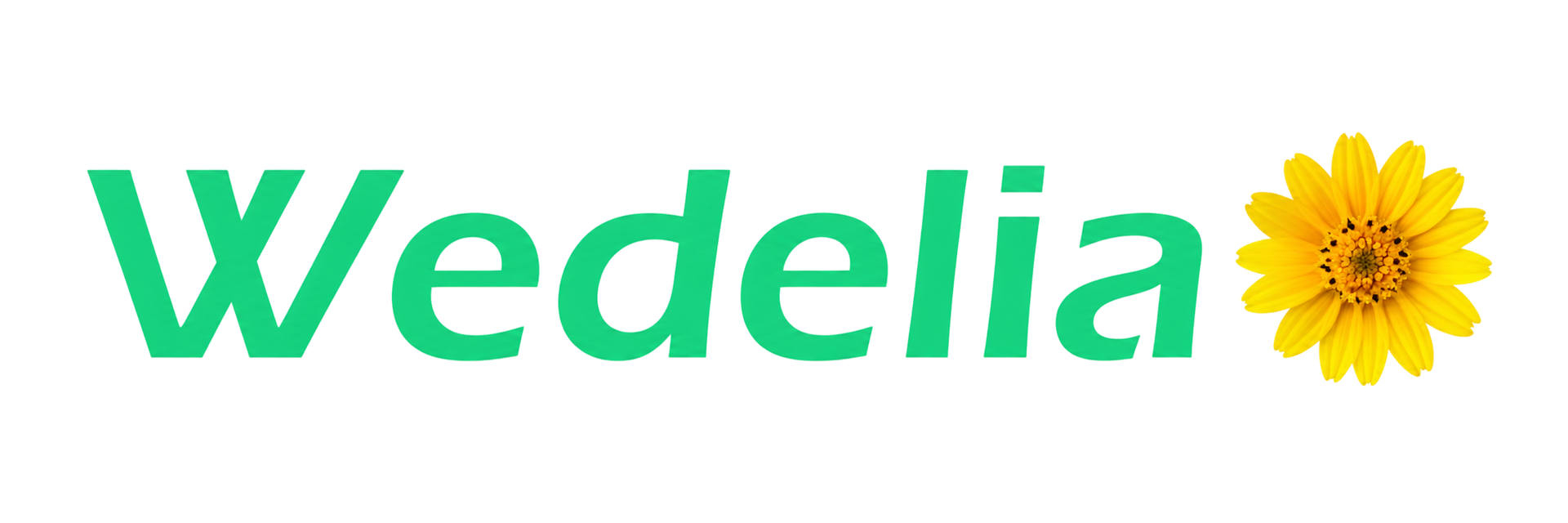 Logotipo de WeDelia SRL con girasol, hojas verdes e icono de campo agrícola; texto: “Soluciones Agroquímicas”
