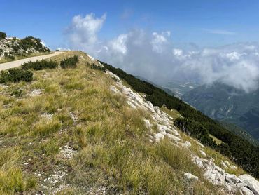 Grassy mountain ridge with a path, low clouds, and a distant valley on a sunny day.