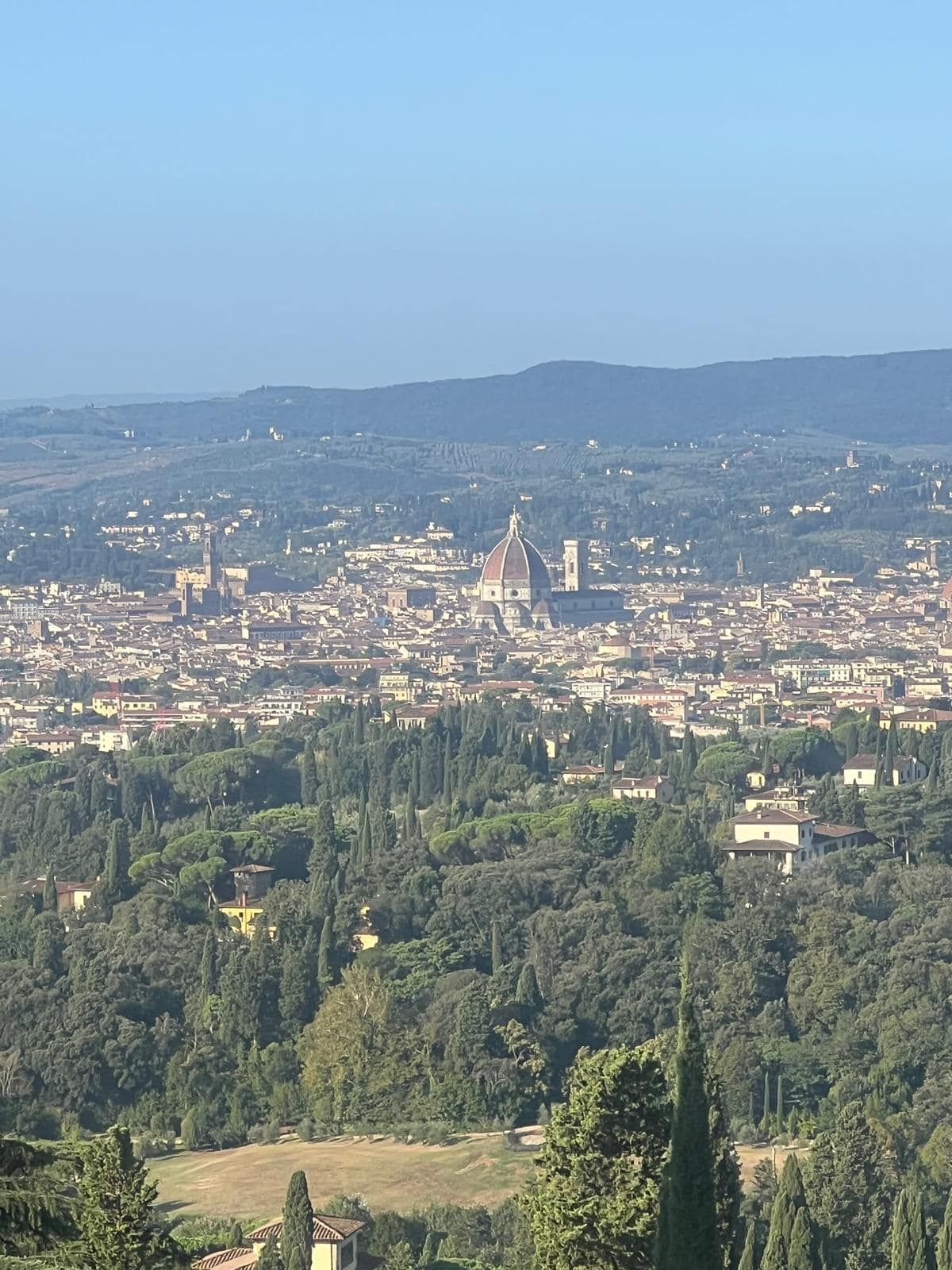 Panoramic view of Florence, Italy, with the Duomo's dome rising above the city and green hills in the foreground.