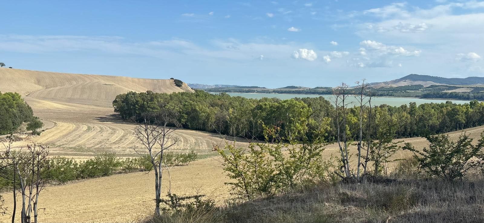 Panoramic view of a dry, golden landscape with a lake and trees under a blue sky.