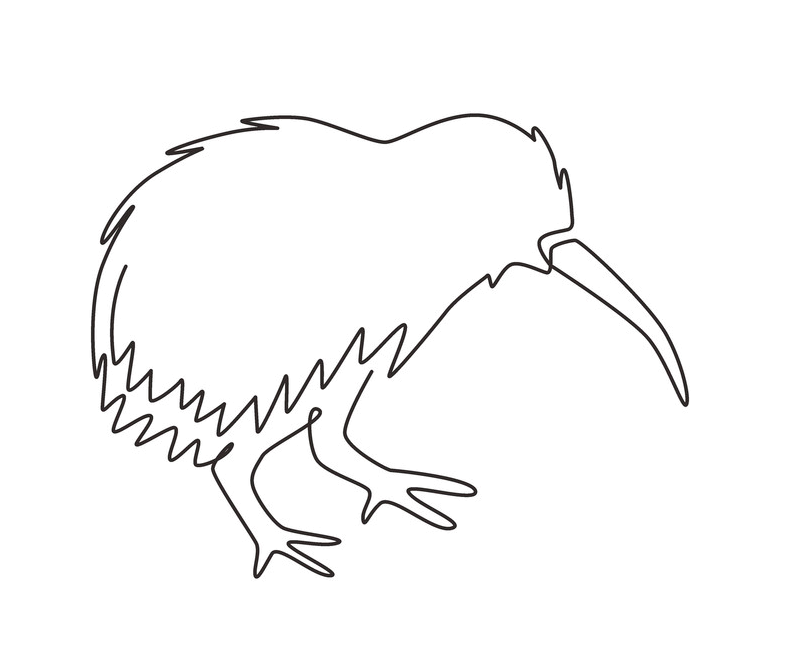 Line drawing of a kiwi bird with a long beak and feathery body.