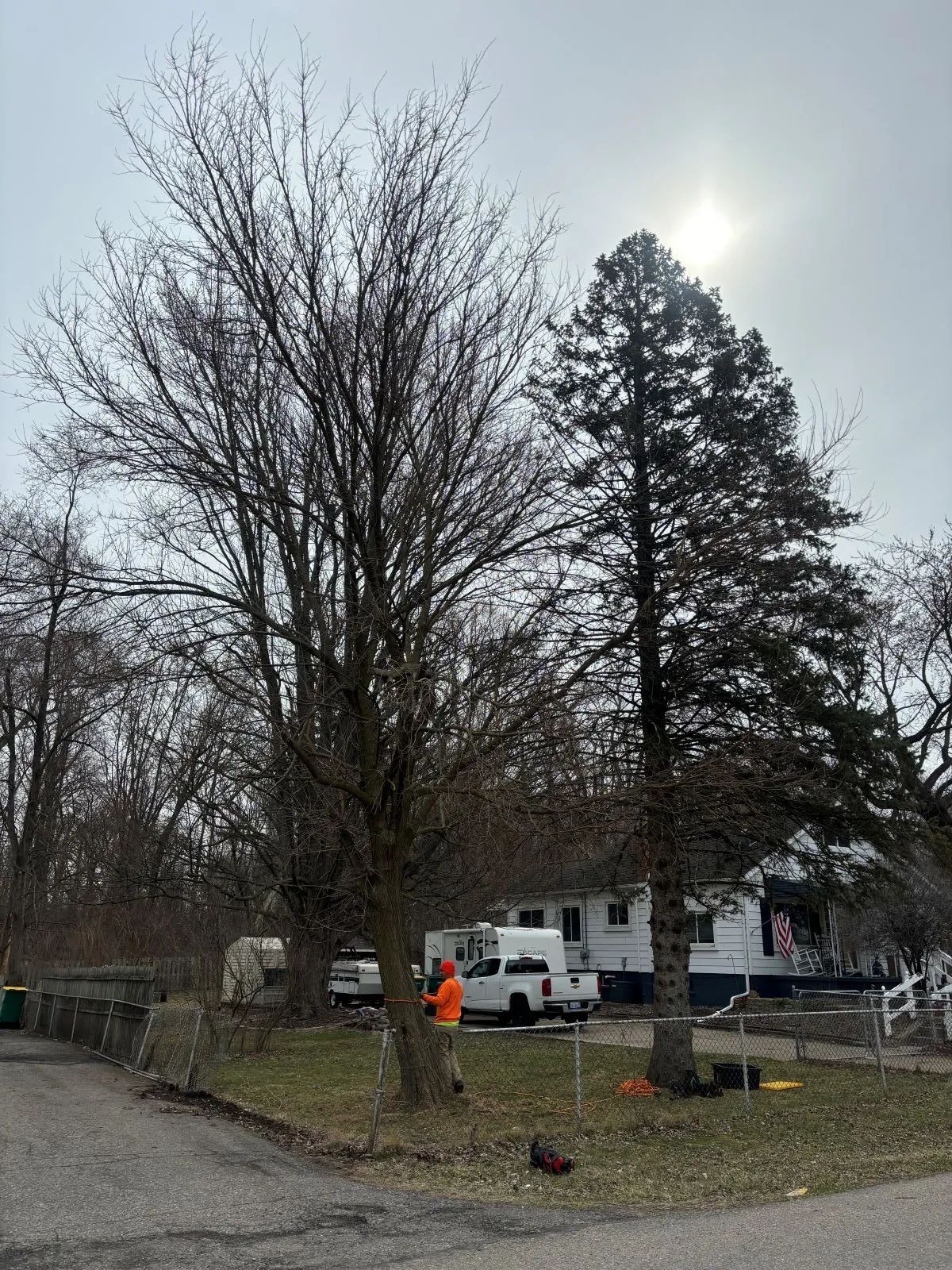 Two trees in front of a house on a cloudy day. One tree is bare, the other is evergreen. A person in orange works near the trees.