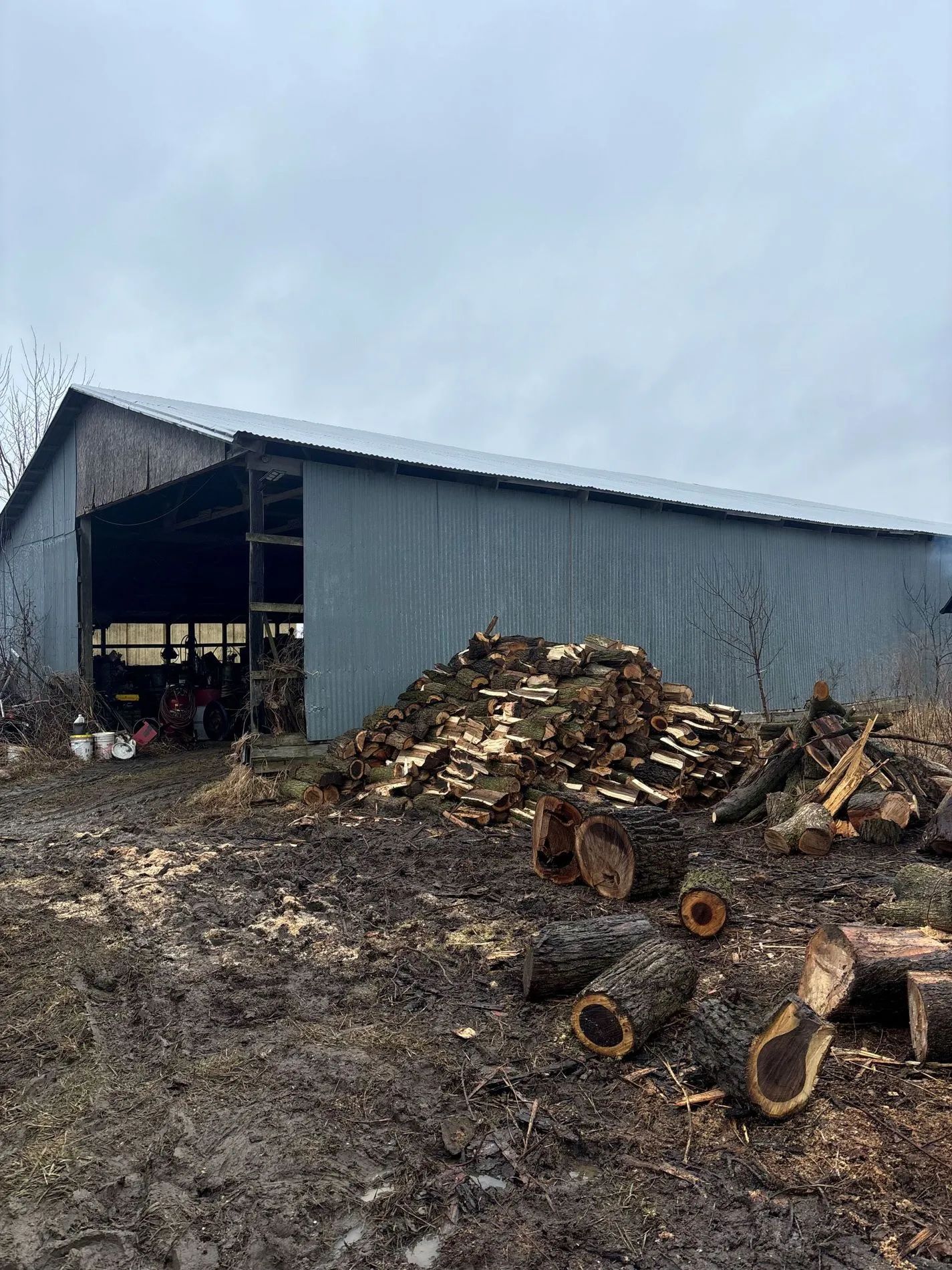 A gray metal barn with a pile of split firewood and logs in a muddy yard under an overcast sky.