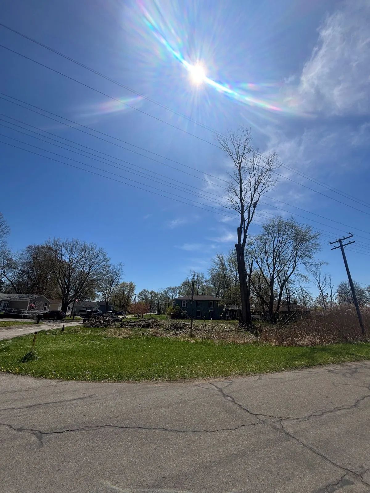 Sunny day, empty lot with some greenery. Bare tree, power lines, and blue sky.