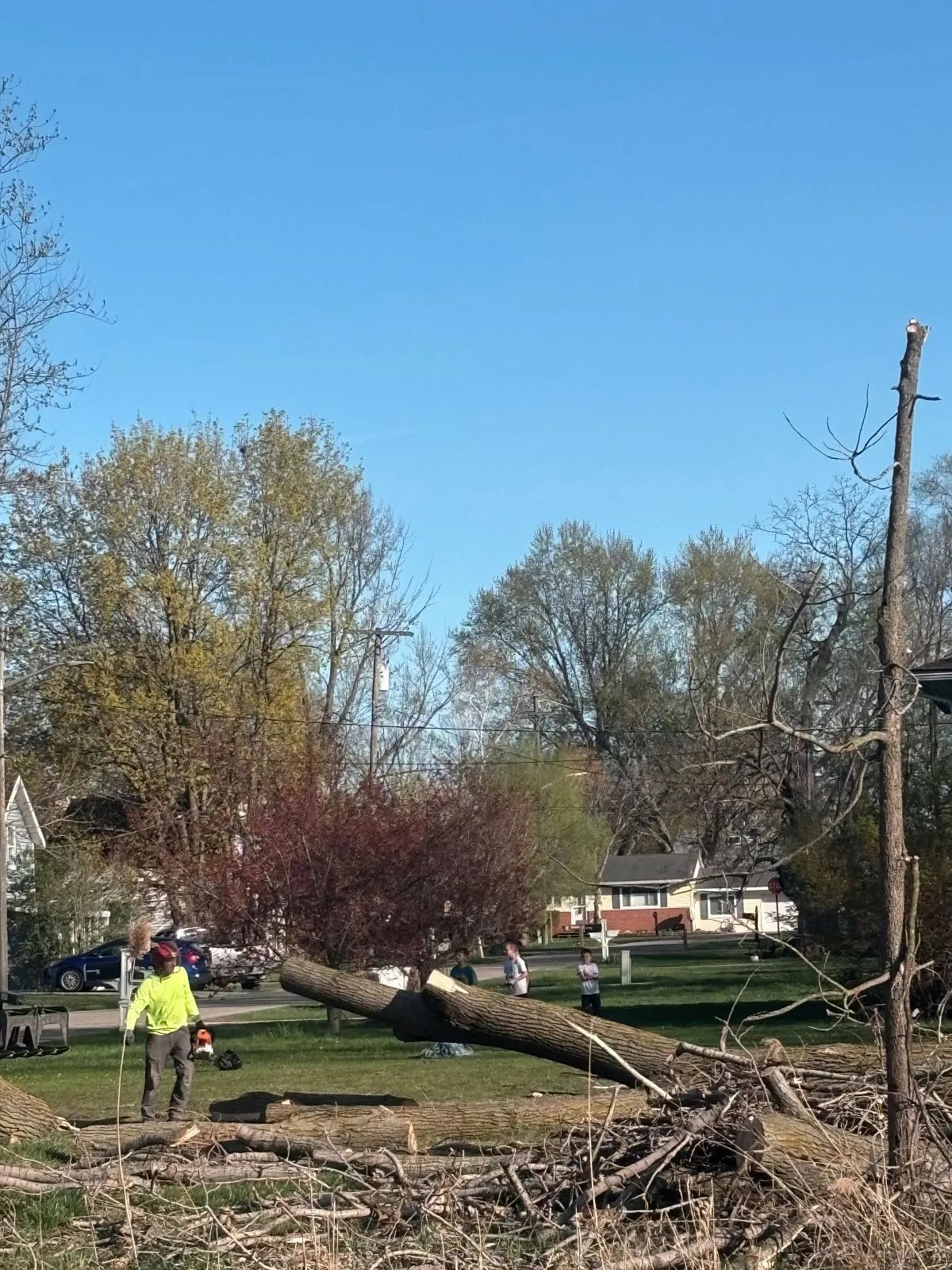 Person in yellow vest cutting a fallen tree in a sunny, residential area.