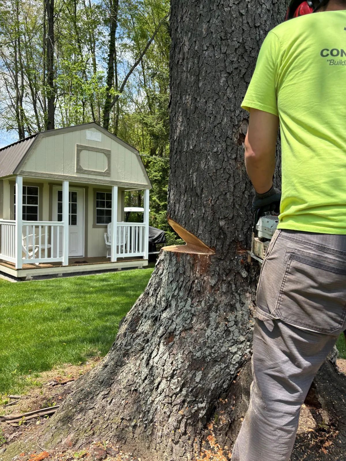 Person cutting a tree with a chainsaw, near a small building in a yard.