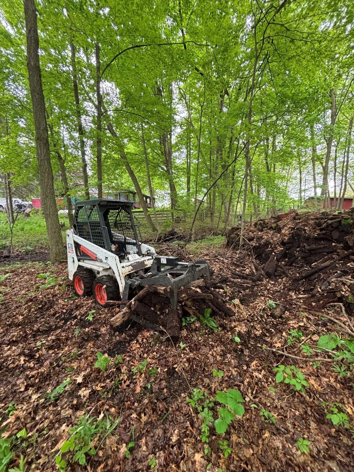 Bobcat skid steer loader in a wooded area, moving mulch. Green trees in background.