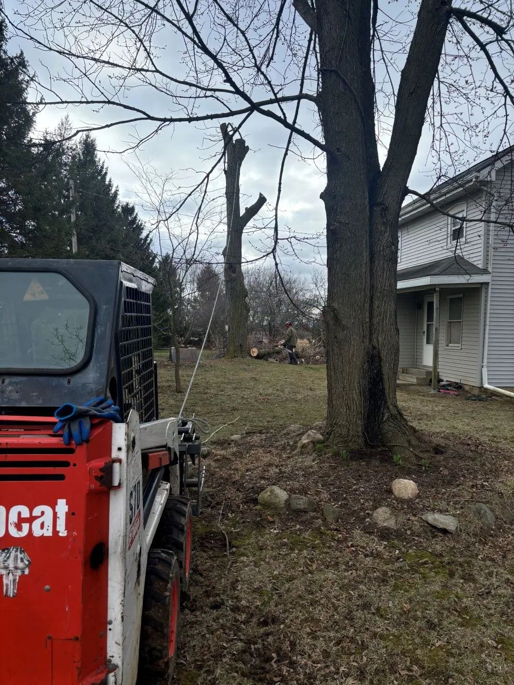 Bobcat tractor near tree and house; cut tree in background. Cloudy day.