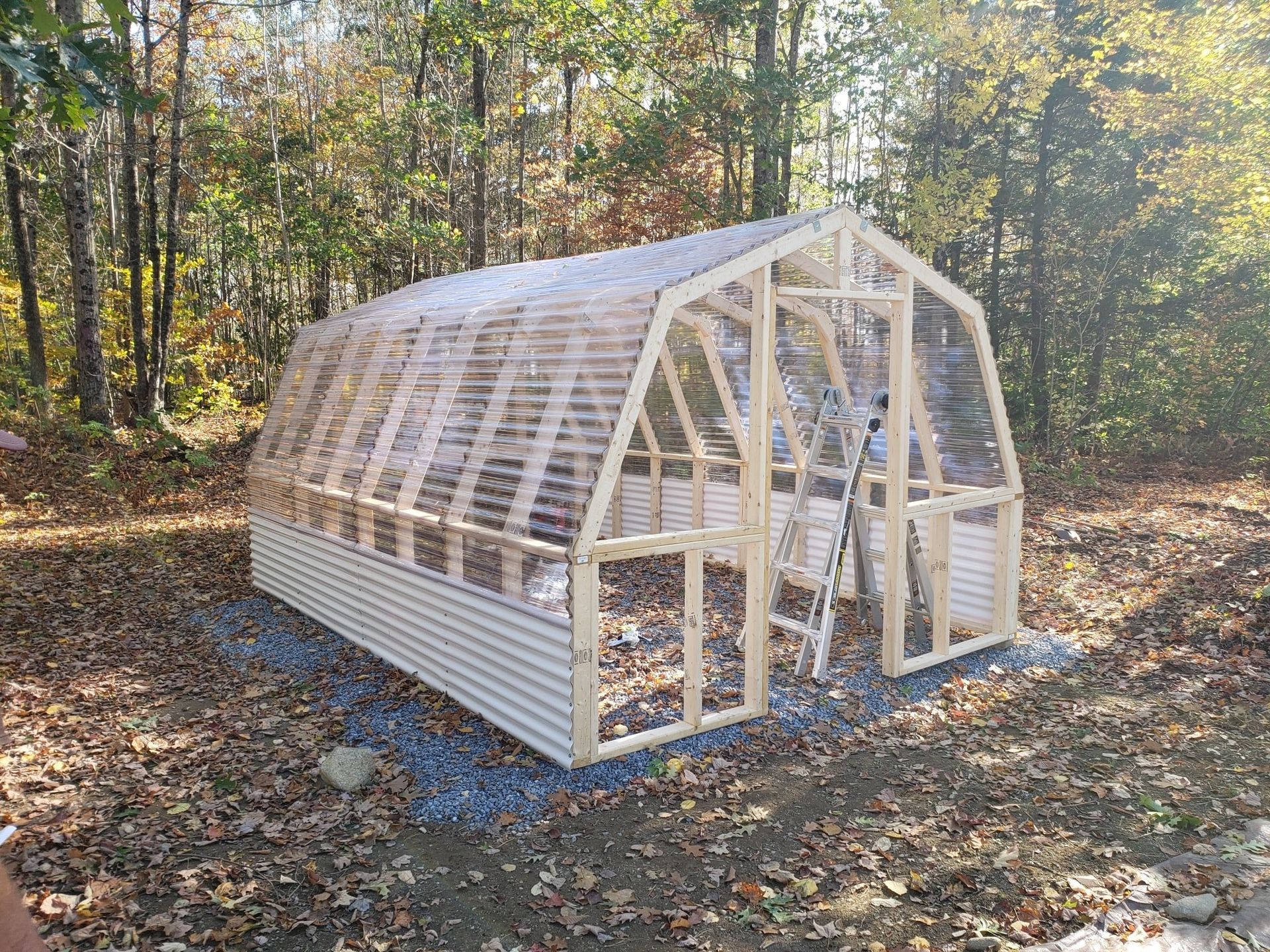 Small wooden greenhouse frame in a wooded yard, with clear plastic covering and white siding.