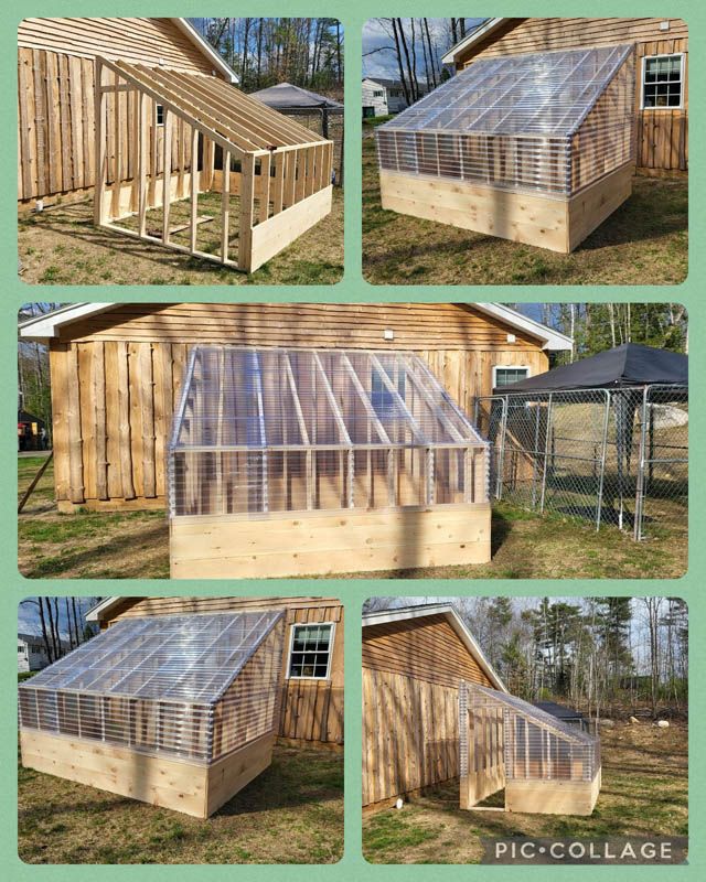 Collage of a small wooden greenhouse/potting shed under construction in a backyard