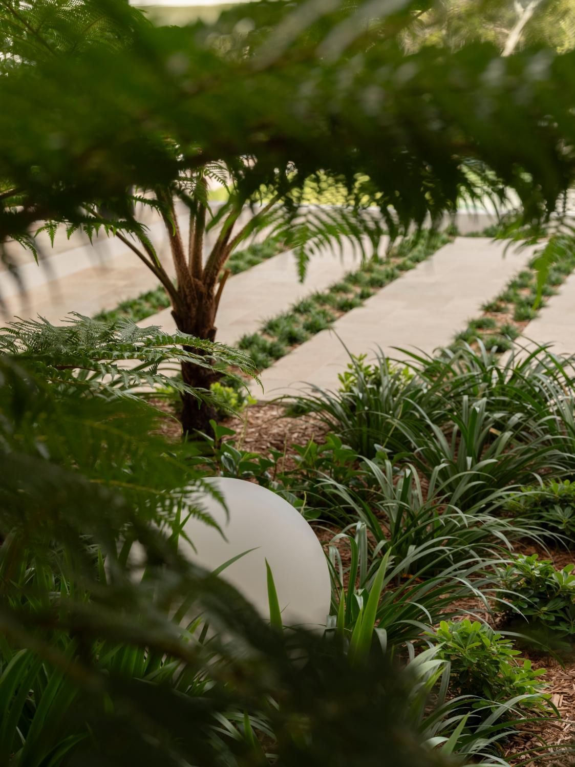 A globe light rests in a garden beside a tree fern and rows of pavers interspersed with low-lying green plants.