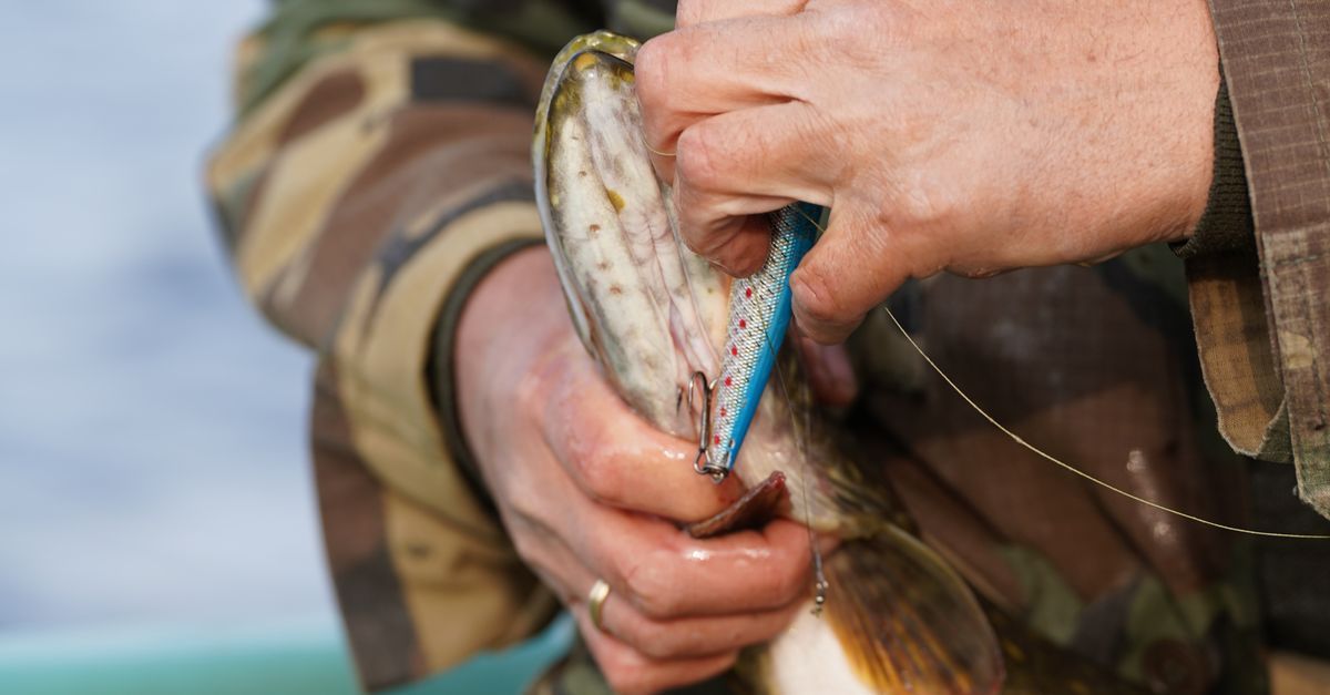 Pêcheur lançant un leurre au bord d'une rivière en automne
