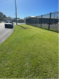 A Person Is Spraying A Lawn With A Sprayer — Michael Flick Horticulture in Coffs Harbour, NSW