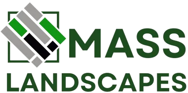 Mass Landscapes Mass Landscapes