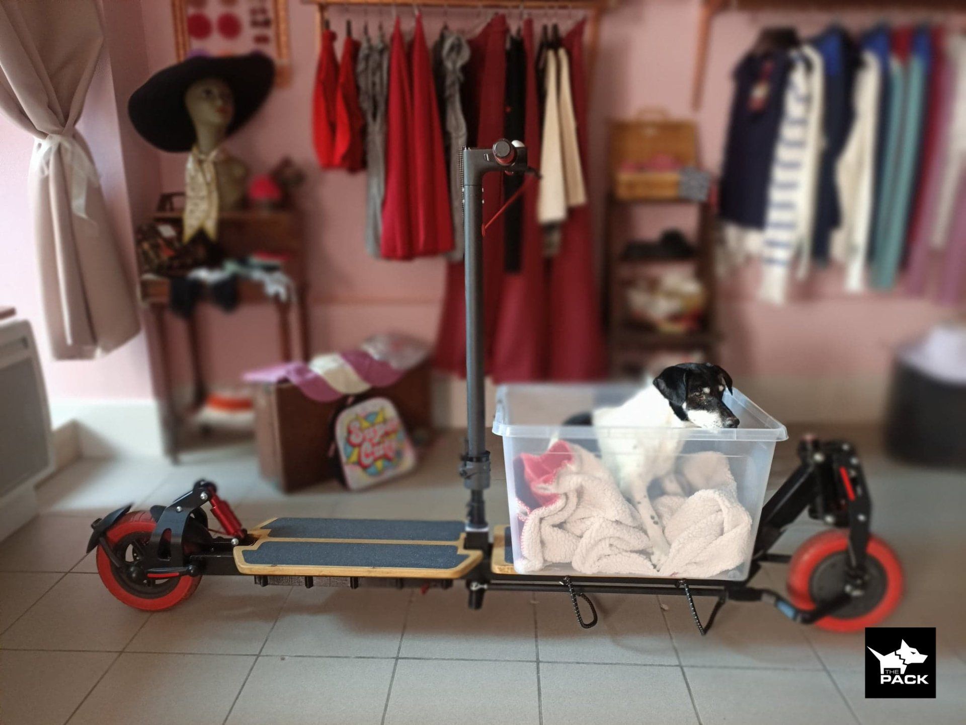 Motorguy - Benjamin Surain - Cargo-ped