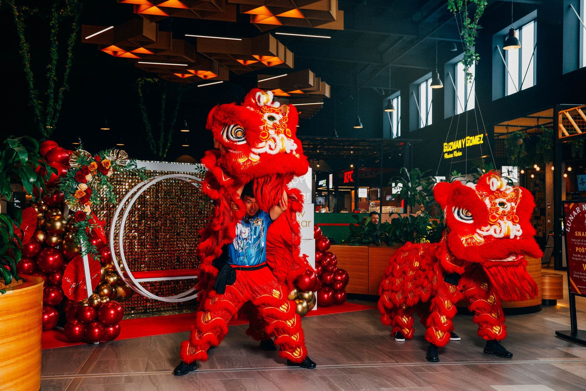 A group of people are dancing lion dances in a restaurant.