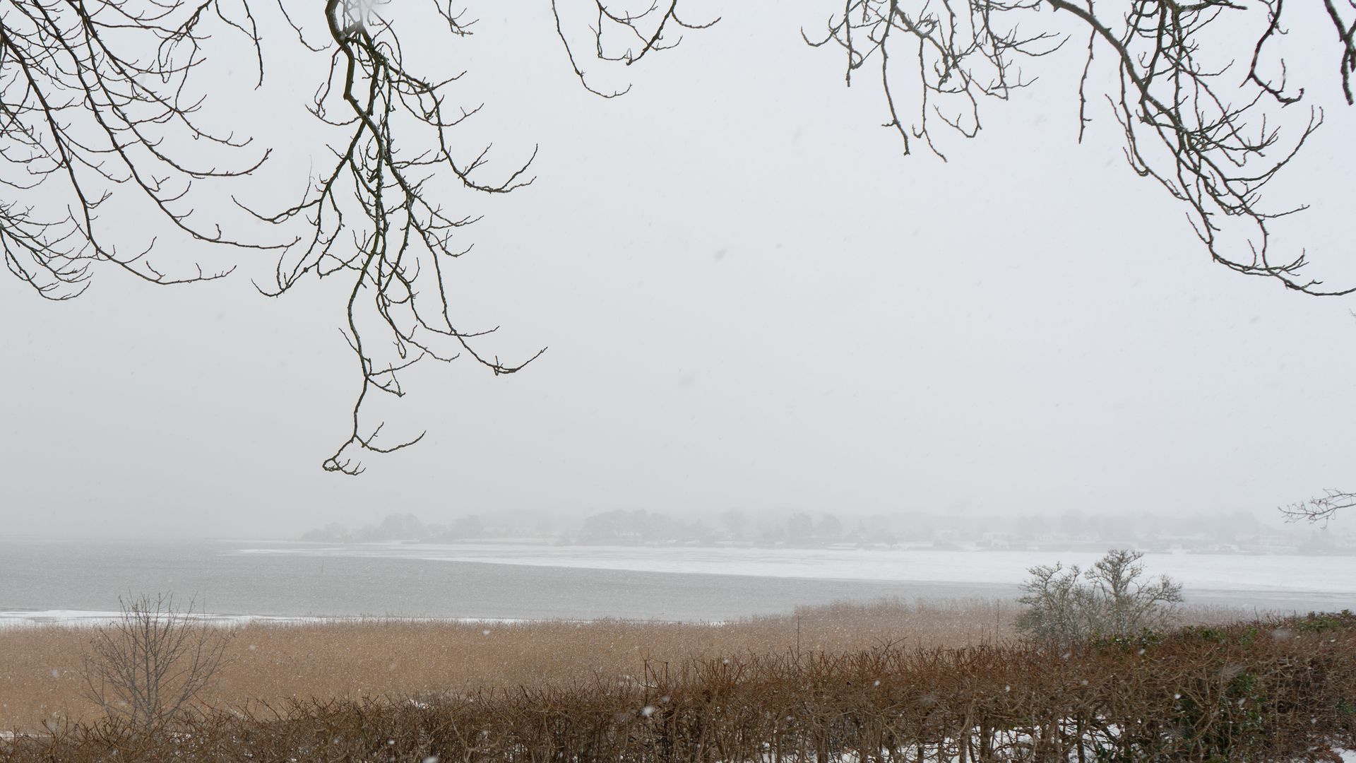 et snelandskab med et træ i forgrunden og en sø i baggrunden.