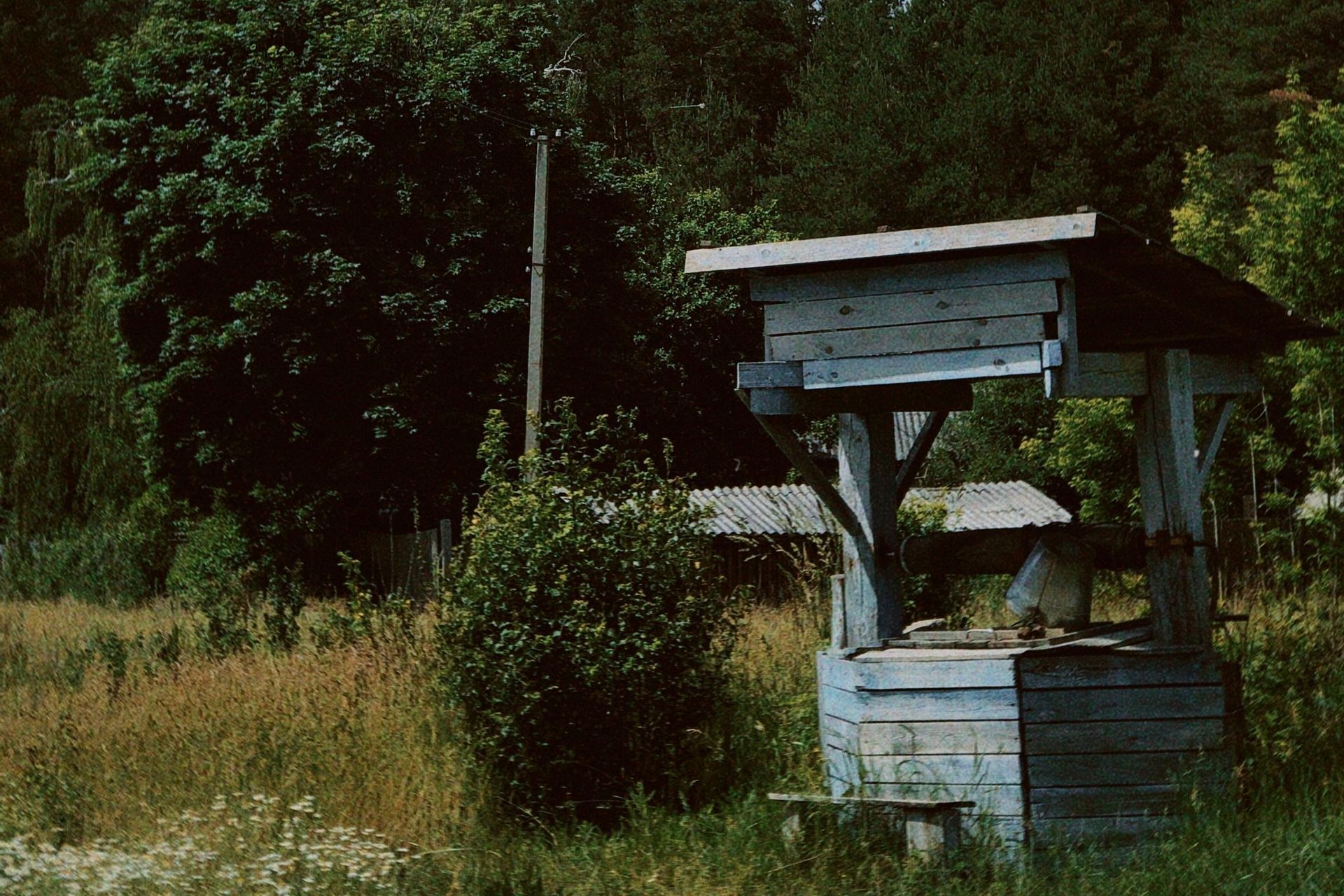 Old wooden well in overgrown grass beside trees and bushes