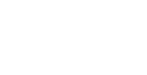 BERNI RENT - LOGO