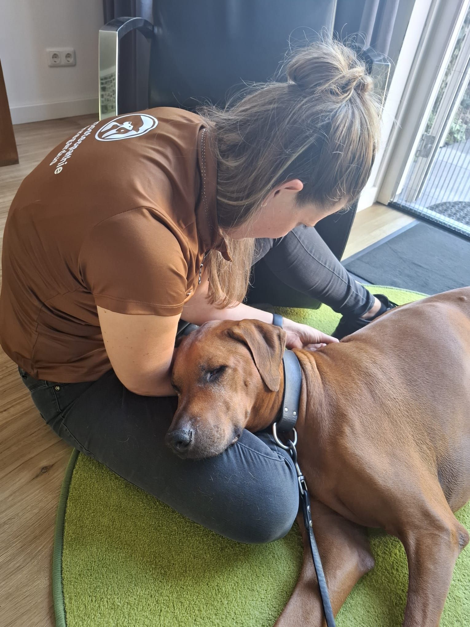 Hondenosteopaat