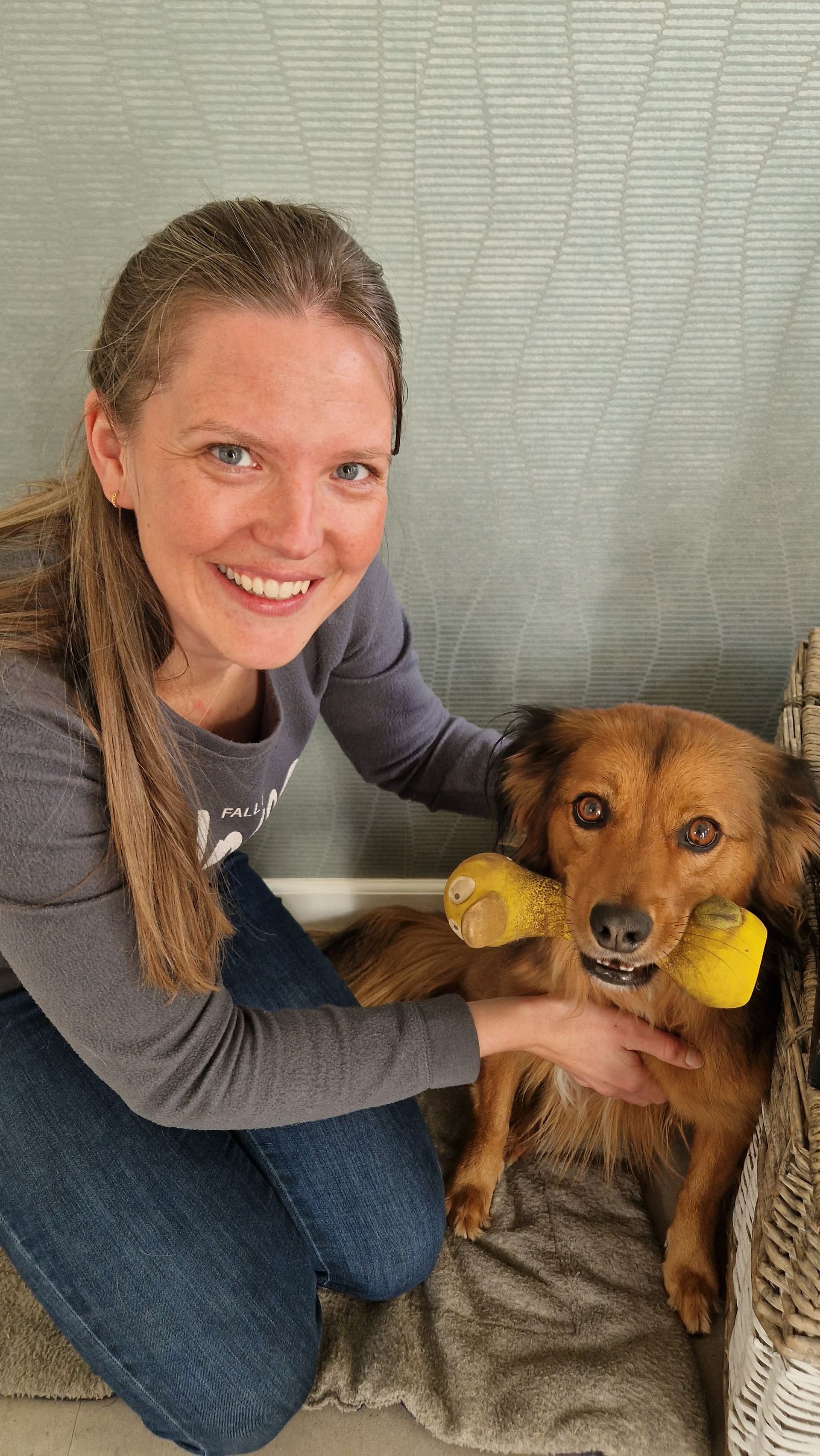 Osteopathie bij honden