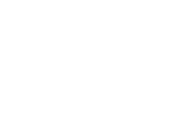Next Level logo