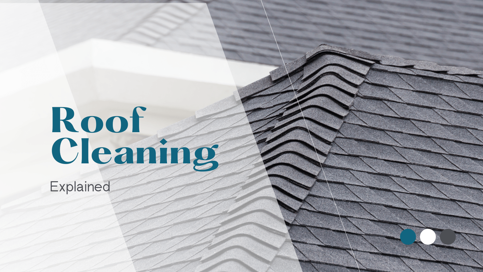 Roof cleaning service