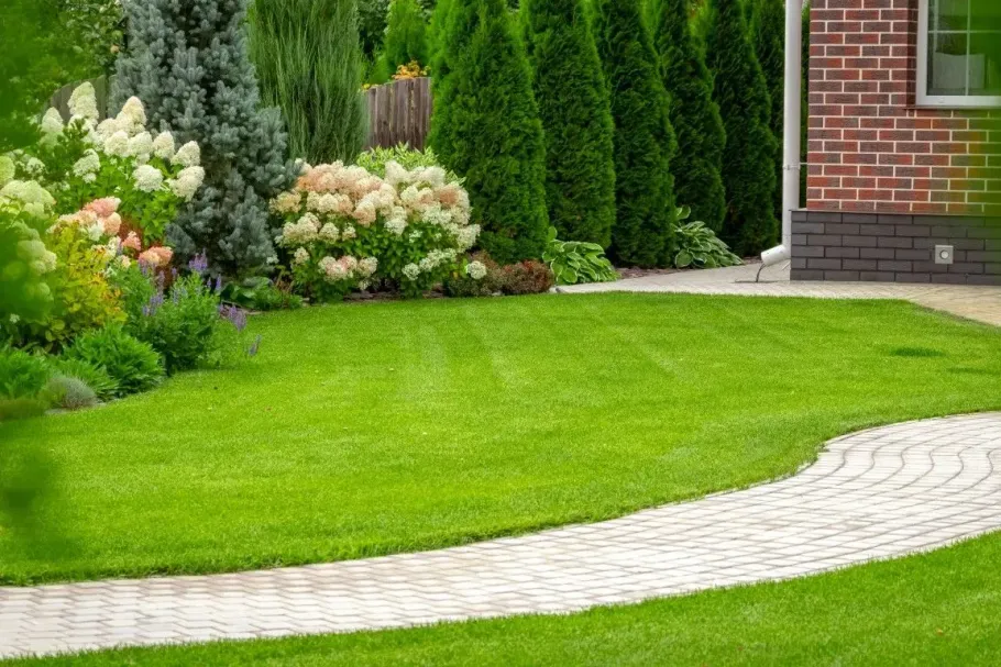 Professional landscaper using a power hedge trimmer on a tall green bush.