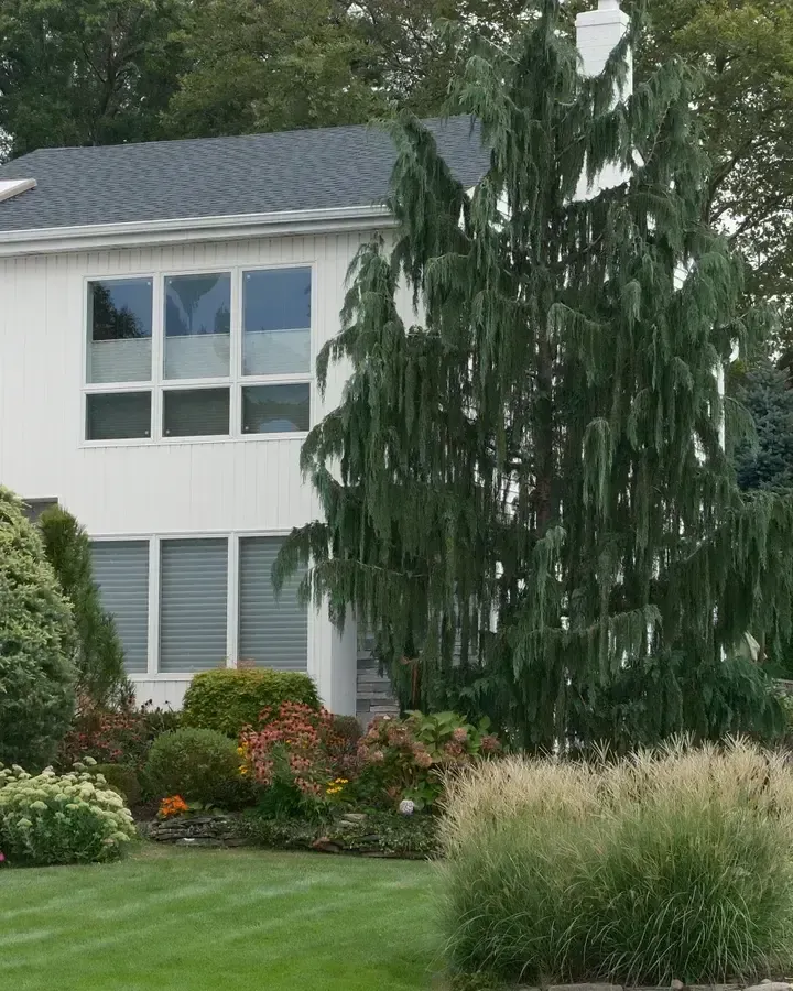 Suburban front yard with foundation shrubs, ornamental grasses and mixed planting beds