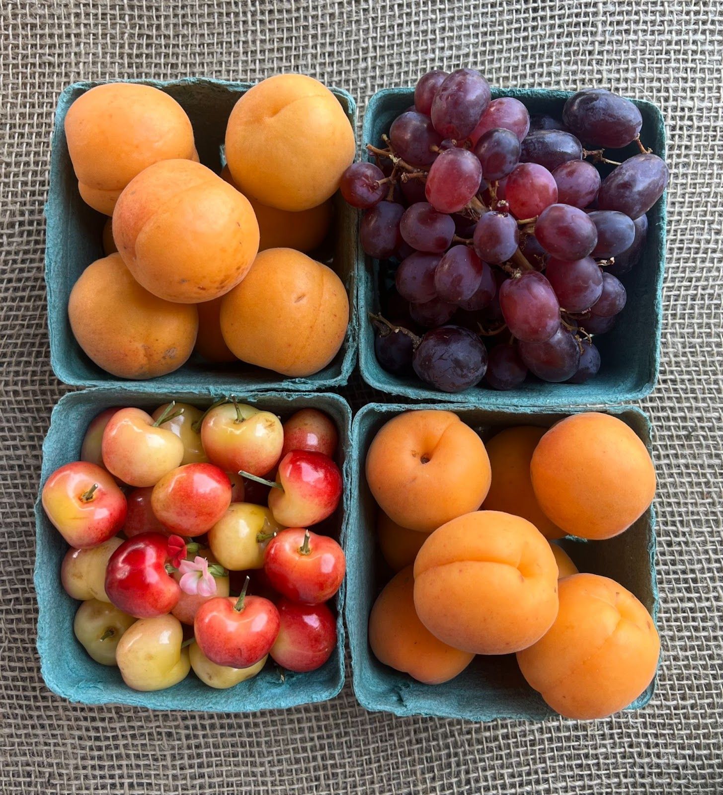 Fruits