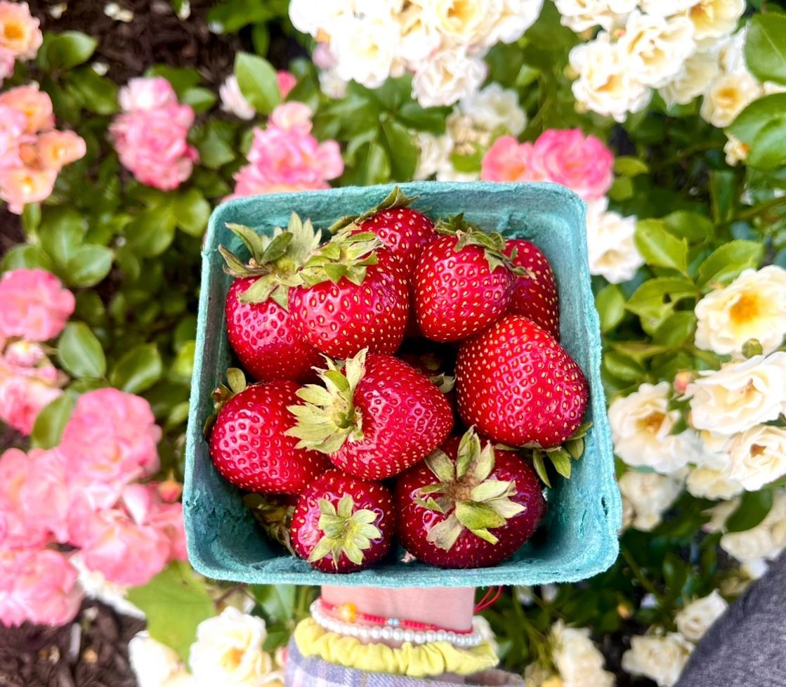 Strawberries
