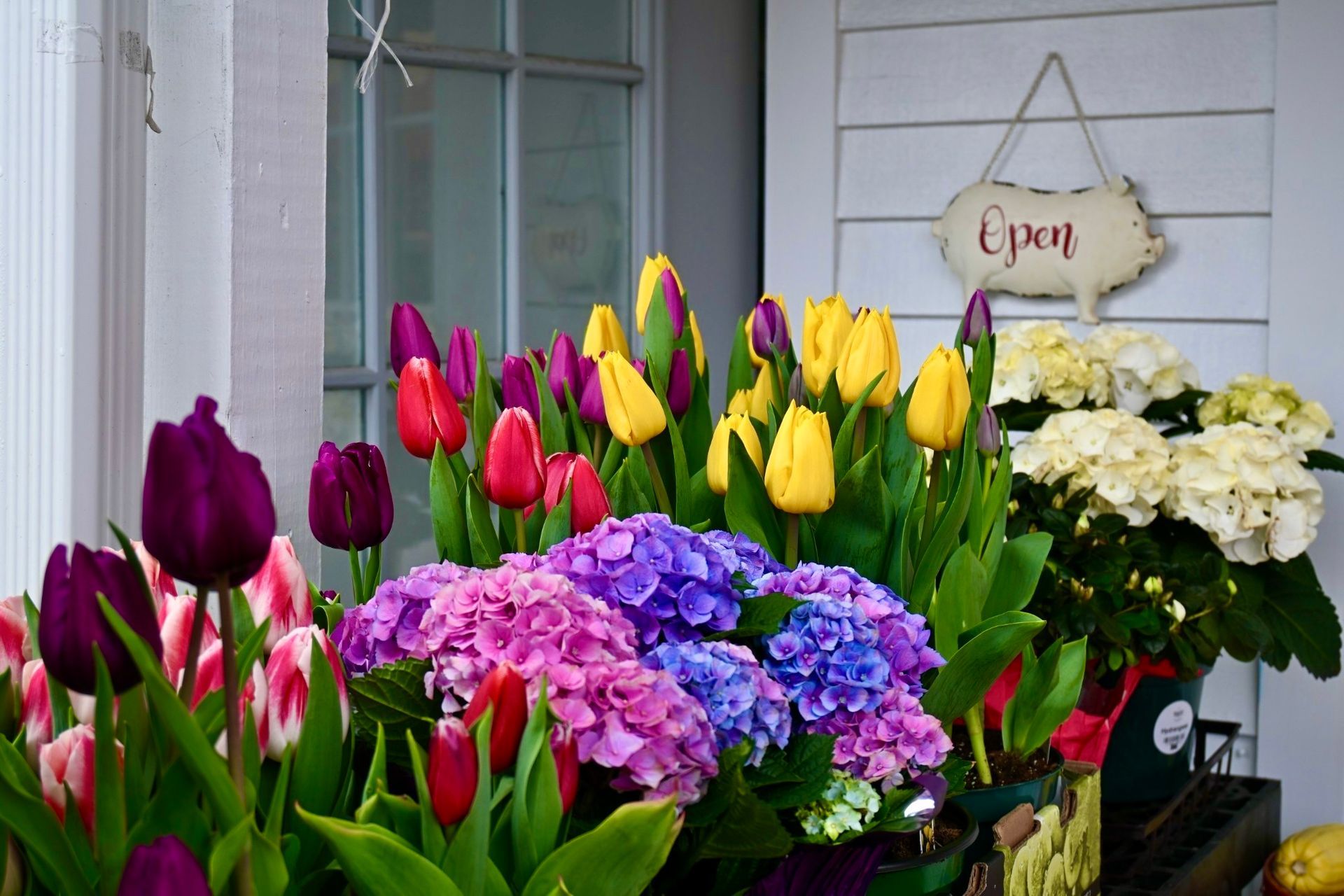 Flowers