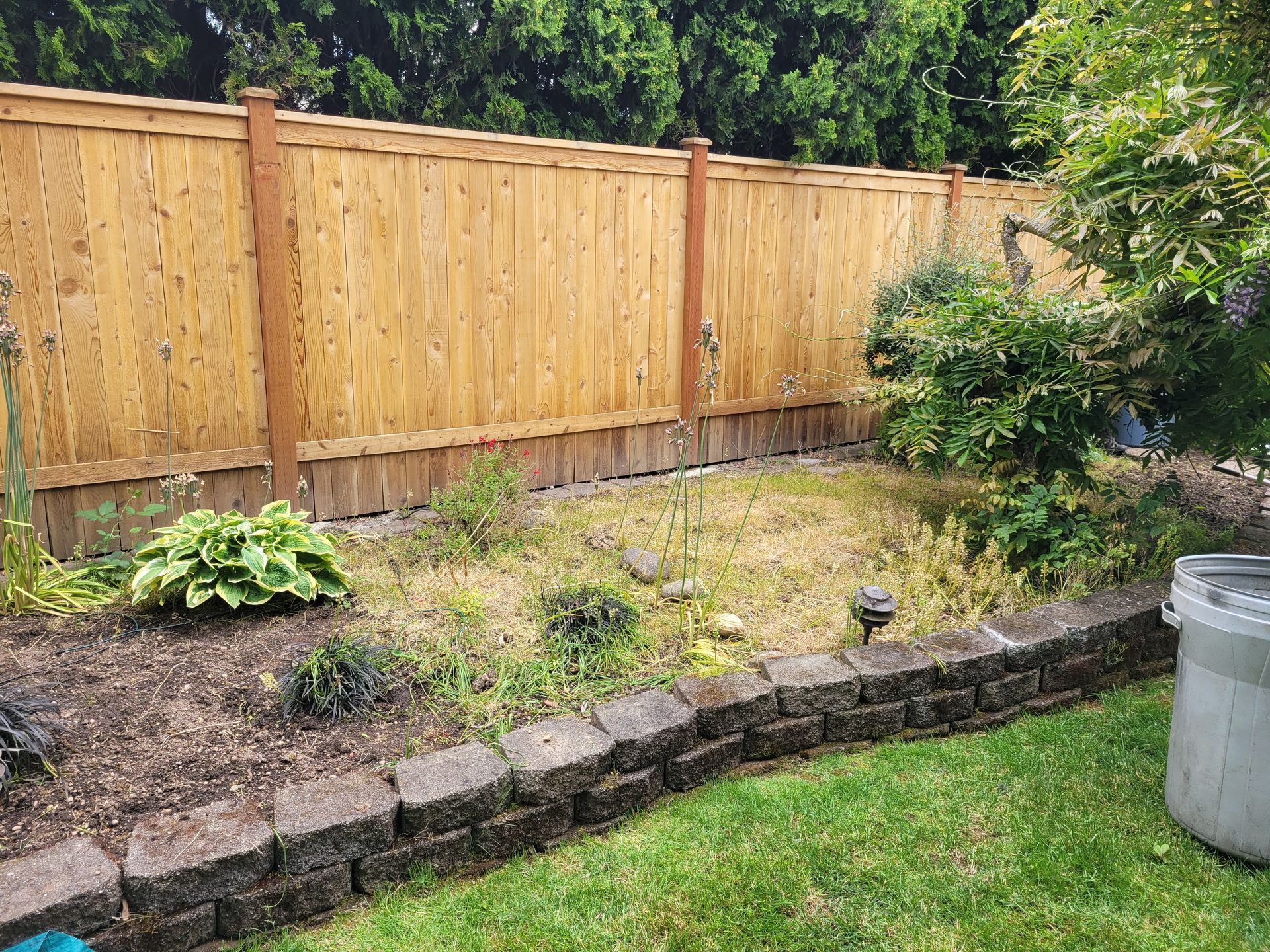 A wooden fence surrounds a garden in a backyard.
